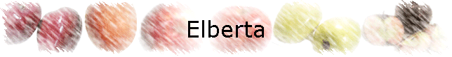 Elberta