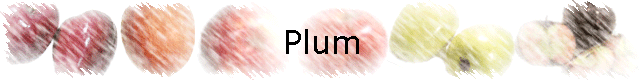 Plum