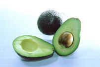 Avocado.jpg (124389 bytes)