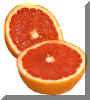 Grapefruit1.jpg (62940 bytes)