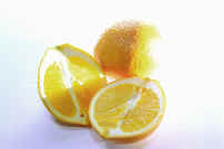 Lemon.jpg (143020 bytes)