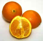 Navel Orange_small.jpg (76399 bytes)