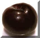 Plum Black Diamond.jpg (72148 bytes)