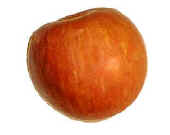 Apple Fugi.jpg (5139 bytes)