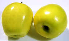 Golden Delicious.jpg (25934 bytes)