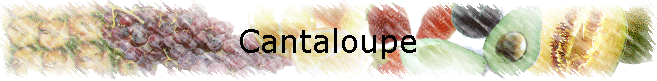 Cantaloupe