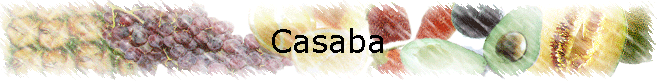 Casaba