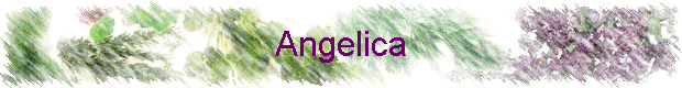 Angelica