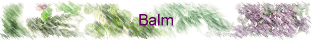 Balm