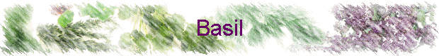 Basil