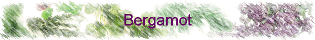 Bergamot