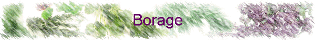 Borage
