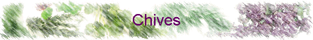 Chives