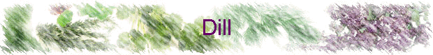 Dill