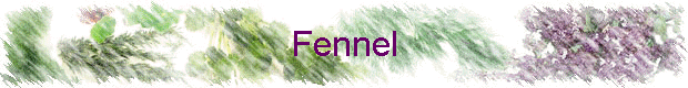 Fennel