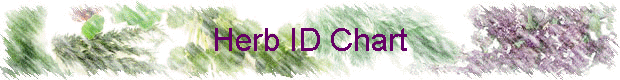 Herb ID Chart
