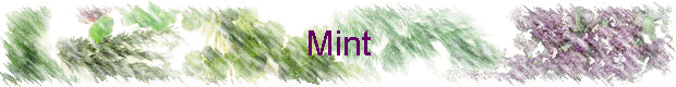 Mint