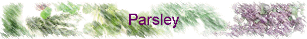 Parsley