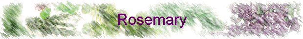 Rosemary