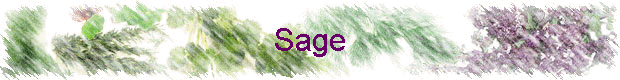 Sage