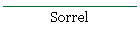 Sorrel