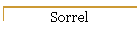 Sorrel