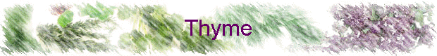 Thyme