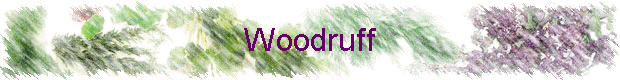 Woodruff