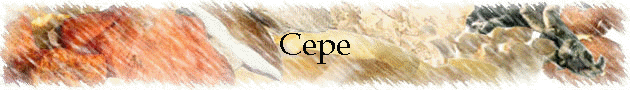 Cepe