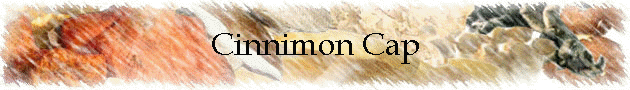 Cinnimon Cap