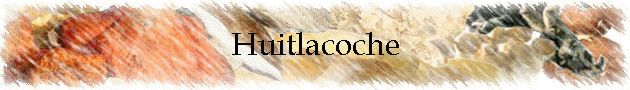 Huitlacoche