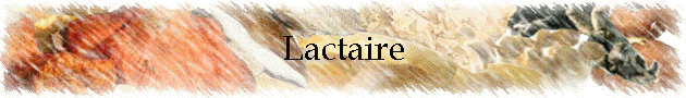 Lactaire