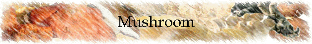 Mushroom