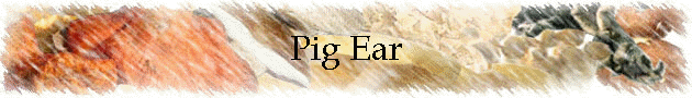 Pig Ear