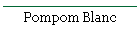 Pompom Blanc