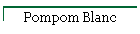 Pompom Blanc