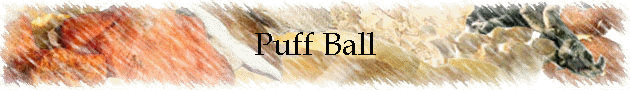 Puff Ball