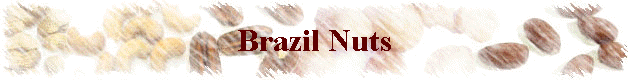 Brazil Nuts