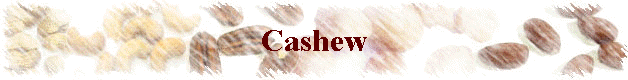Cashew