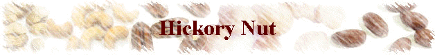 Hickory Nut