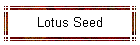 Lotus Seed