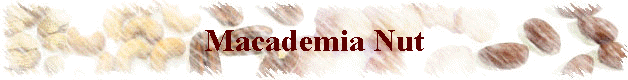 Macademia Nut