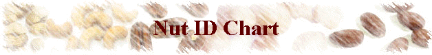 Nut ID Chart