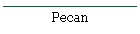 Pecan