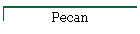 Pecan