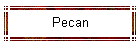 Pecan