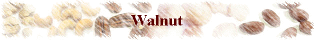 Walnut