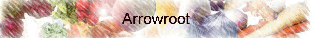 Arrowroot