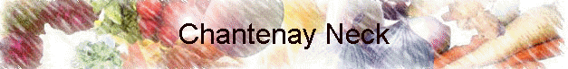 Chantenay Neck
