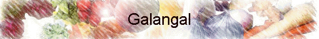 Galangal